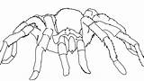 Coloring Widow Spider Getdrawings Pages sketch template