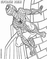 Spider Man Coloring Spiderman Colorings sketch template
