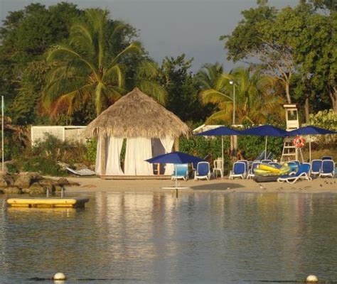 view from the prude beach picture of hedonism ii negril tripadvisor