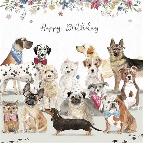 birthday wishes  dog lovers