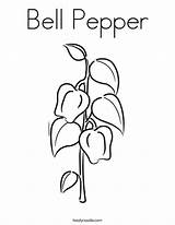 Pepper Bell Coloring Print Plant Green Ll Twistynoodle Noodle Twisty Favorites Login Add sketch template