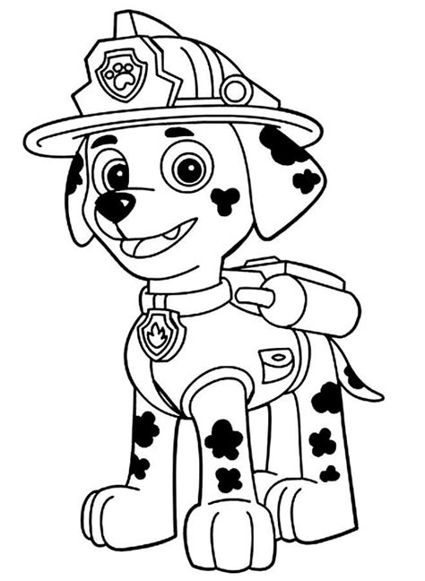 paw patrol coloring pages  preschoolers