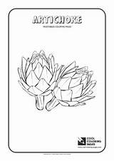 Coloring Artichoke Vegetables sketch template