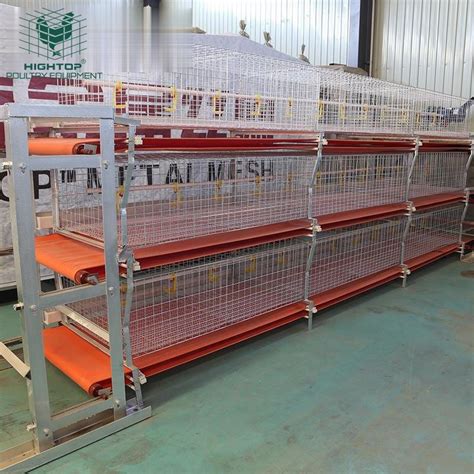 Top High Quality Kenya 1000 Heads Poultry Battery Broiler Chicken Cages