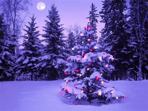 wallpapers christmas trees wallpapers