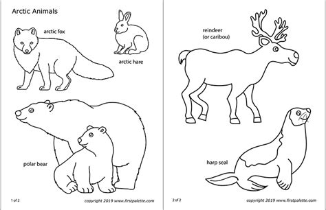 arctic coloring pages