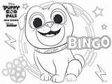 Bingo Puppy Pals Rolly Colorir Kolorowanki Scribblefun Druku Pug Akcji Colouring Lovely Dzieci Paw Tatuaje Disneyjunior Cachorros Desenhosparacolorir Anniversaire sketch template