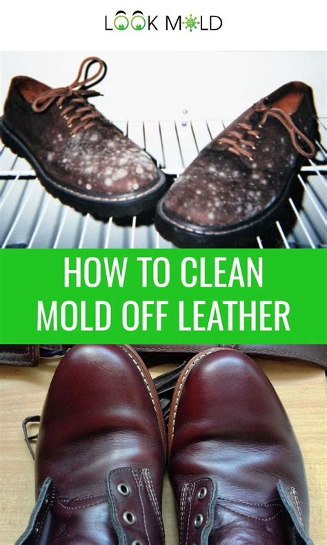 clean mold  leather   easy steps   clean mold