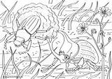 Colouring Beetles Scene Pages Minibeast sketch template