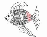Scales Fish Drawing Draw Face Sideways Justice Clipart Skull Vector Painting Getdrawings Fin Way Acrylic Back sketch template