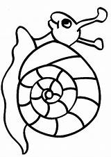 Coloring Pages Snails Kids Snail Fun Colouring sketch template