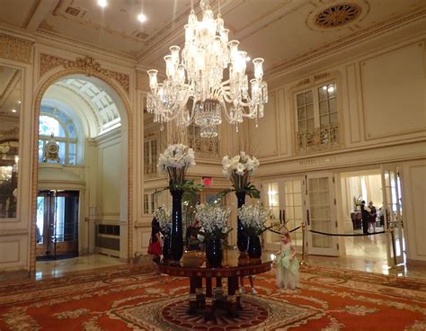 york picture   day  plaza hotel lobby   hotel opened    room