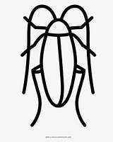 Cucaracha Cockroach Página Dibujo Pngkit sketch template
