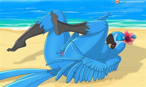 rule 34 2018 anthro anthrofied ass avian beak bird blue