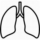 Lungs Lung Outline Clipart Icon Body Organ Clip Anatomy Transparent Coloring Breath Template Healthcare Engine Search Library Ios Iconset Webstockreview sketch template