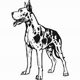 Dane Dogge Sticker Harlequin Hund Wandtattoo Vets Coloringhome sketch template