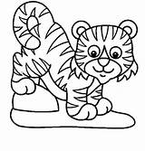Tiger Coloring Pages Preschool Kids Colouring Color Printable Animals Clipart Clipartbest Wild Cat Choose Board Animal Getcolorings sketch template