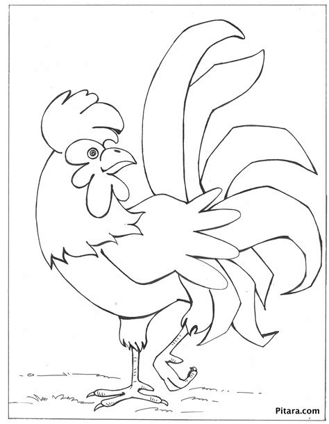 baby chicken coloring sheet coloring pages