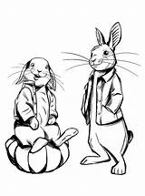 Peter Rabbit Benjamin Movie Coloring Pages Konijn Pieter Fun Kids sketch template
