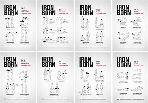dumbbell workout routine for beginners pdf blog dandk