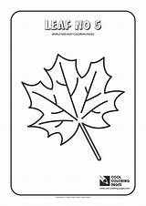 Coloring Leaf Simple Pages Cool Template sketch template