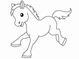 Cute Coloring Baby Animal Pony Pages Kids sketch template