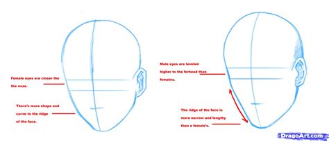 How To Draw Manga Heads Step By Step Anime Heads Anime