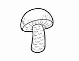 Cogumelo Bolet Tardor Automne Funghi Autunno Outono Champignons Dibuixos Dibuix Acolore Coloritou sketch template