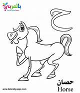 Arabic Coloring Alphabet Pages Letter Belarabyapps Printout Kindergarten sketch template