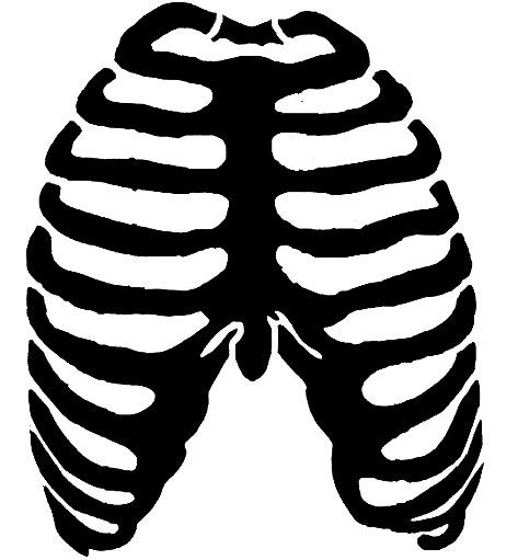 skeleton rib cage clipart