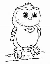 Owl Coloring Pages Baby Cute Printable Cartoon Owls Print Kids Clipart Sheets Colouring Spectacled Template Babies Preschool Board Girl Cliparts sketch template