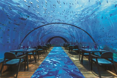 worlds largest underwater restaurant