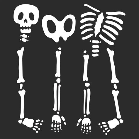 halloween printable skeleton parts     printablee