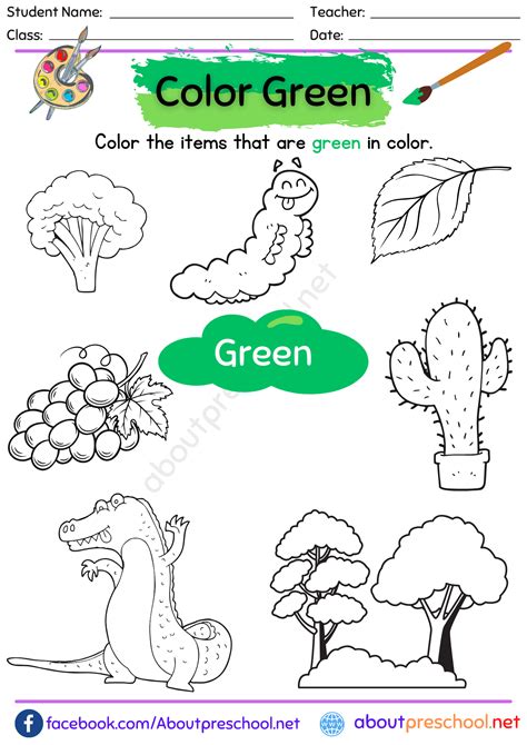 color green worksheet  preschool  preschool