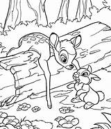 Bambi Coloring Pages Disney Thumper Animation Movies Printable Print Kids Cartoon Sheets Christmas Printables Letscolorit Choose Board Adult Flower Bacheca sketch template