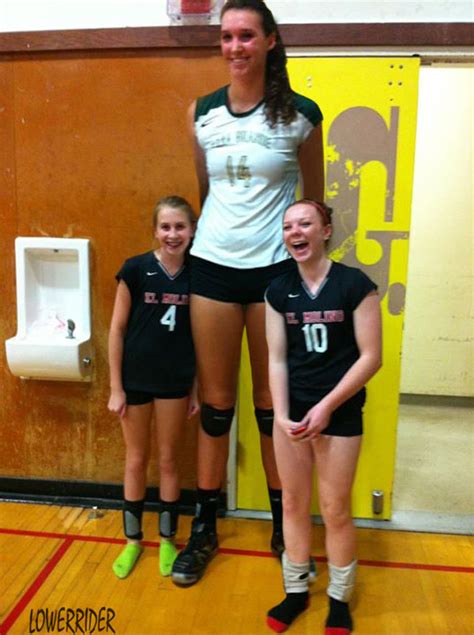 really tall volleyball player by lowerrider on deviantart
