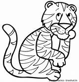 Tiger Coloring Happy Pages Treehut Clipart Swati Views sketch template