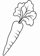 Coloring Carrot Cenoura Carrots Pages Desenho Para Printable Drawing Template Colorear Zanahoria Colouring Color Kids Sheets Carotte Coloriage Colorir Categories sketch template