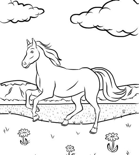 horse coloring page parents