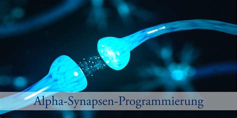 alpha synapsen programmierung nach lissy goetz