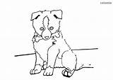 Puppy Dogs Sheltie Sheepdog Shetland Colomio sketch template