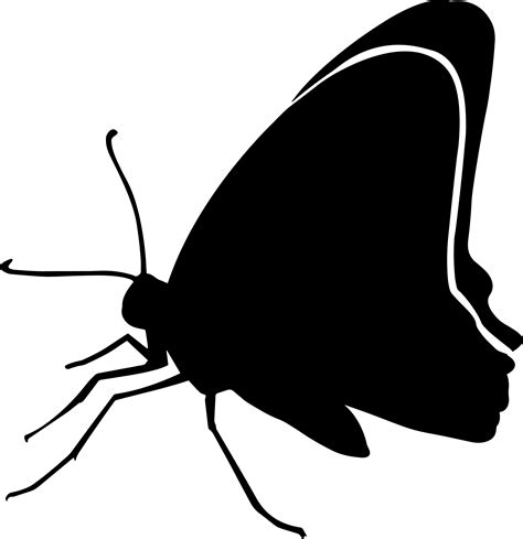 butterfly silhouette graphic  aparnastjp creative fabrica