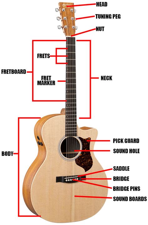 acoustic guitar parts diagram definitions