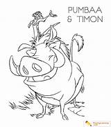 Lion Pumbaa Timon sketch template