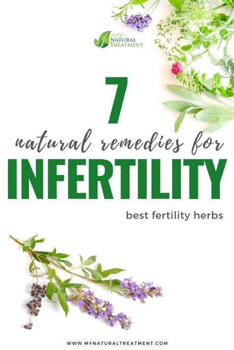 7 Natural Remedies For Infertility In Women Fertility Herbs