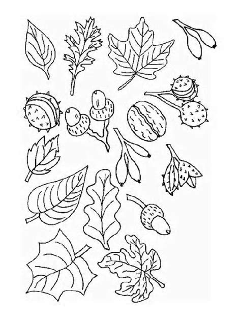 coloring pages  leaves  trees coloring home