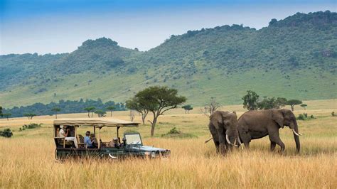 book  masai mara safari maasai mara national reserve