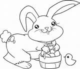 Bunny Coloring Knuffle Getcolorings Pages sketch template