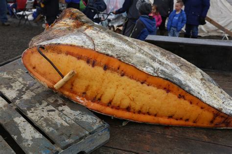 changing arctic land  pickled whale   milk nbc news
