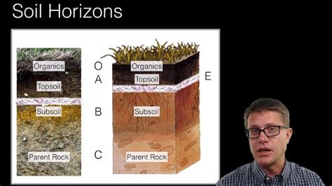 soil  soil dynamics soil testing soil classification ap